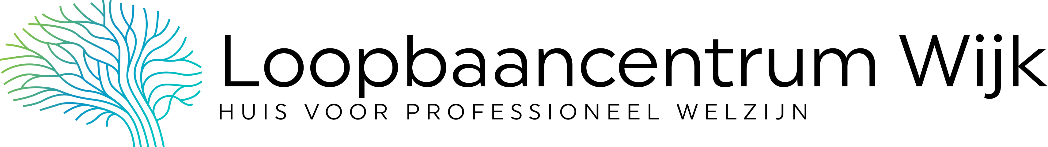 Loopbaancentrum Wijk Logo